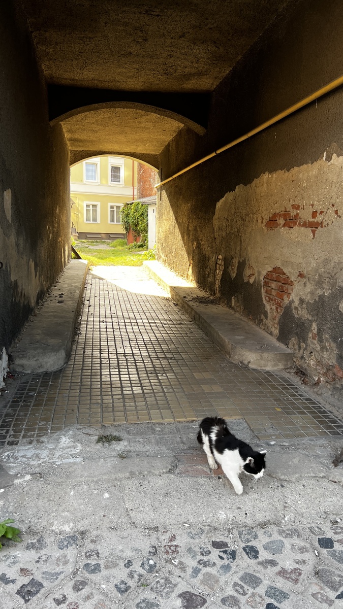 В Черняховске, бывшем Инстербурге, керамической плиткой даже были выложены некоторые дворы
