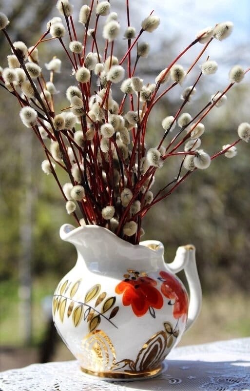 Фото из интернета