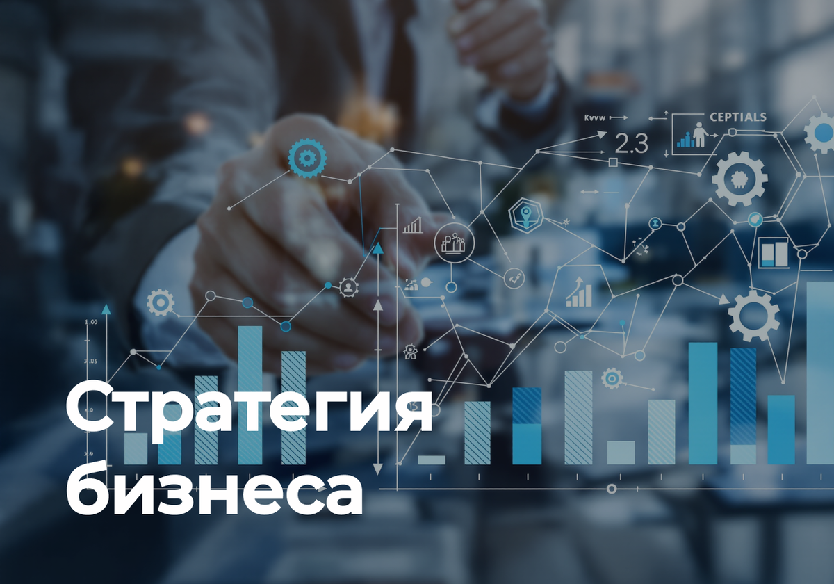 Стратегия развития бизнеса