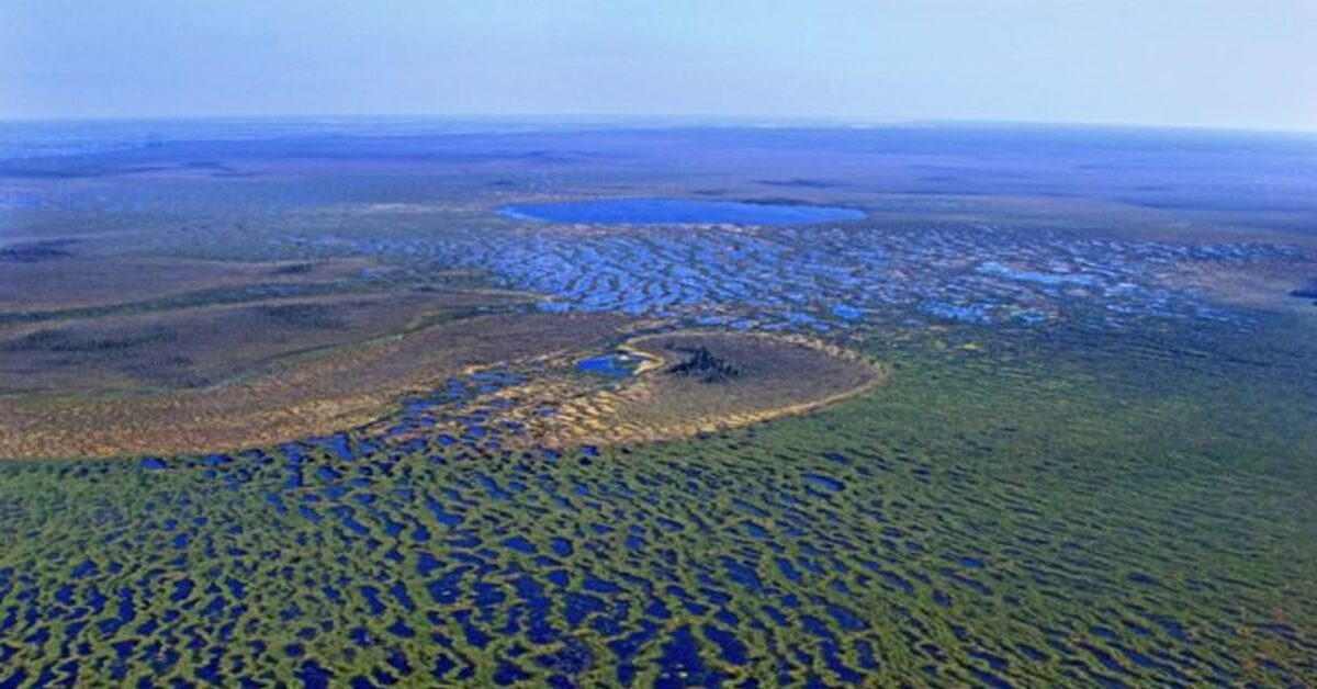 Фото из открытых источников