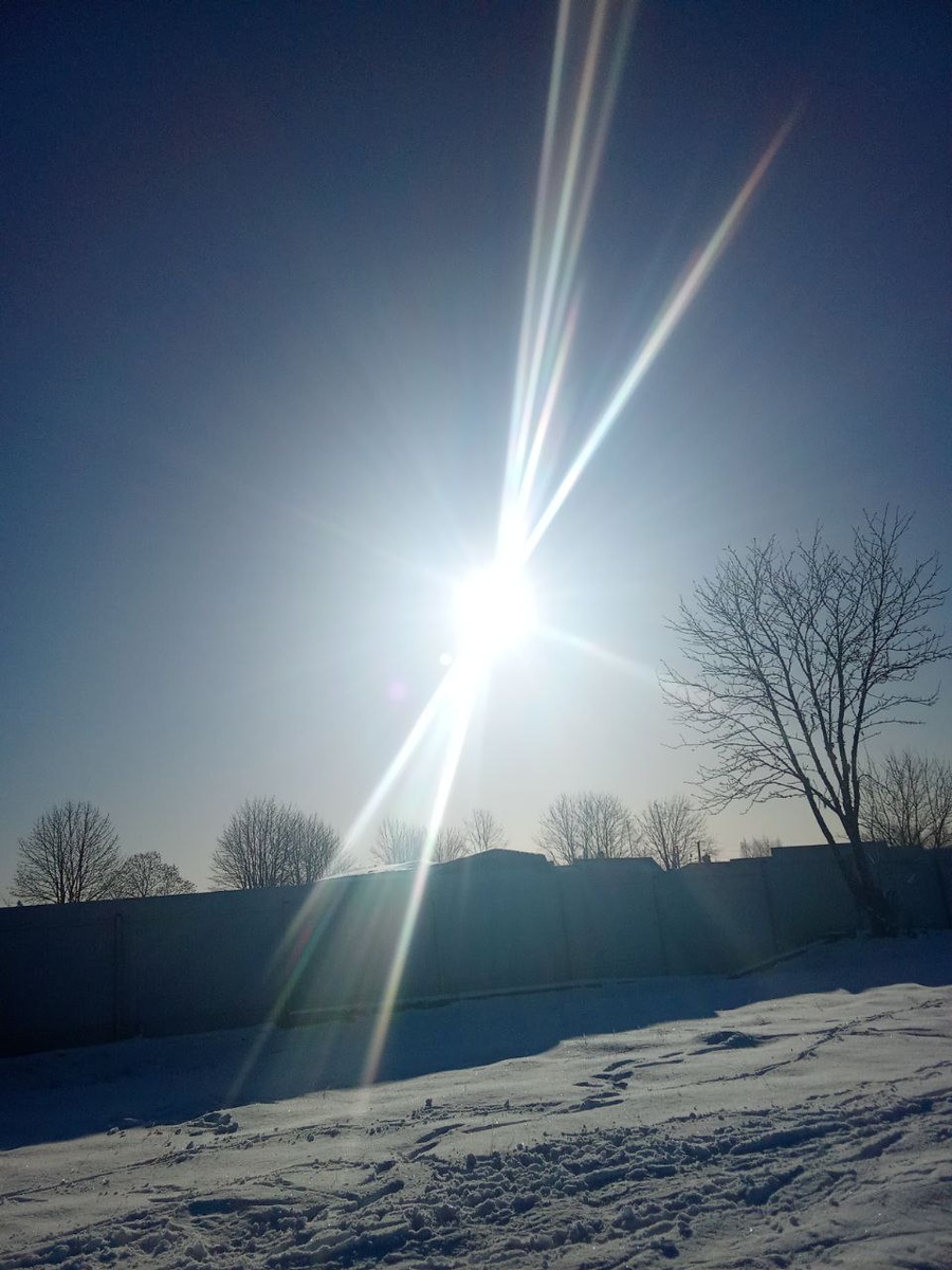 солнечные звезды