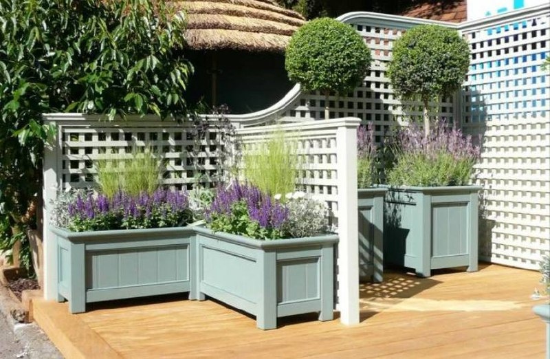 Фото из открытых источников