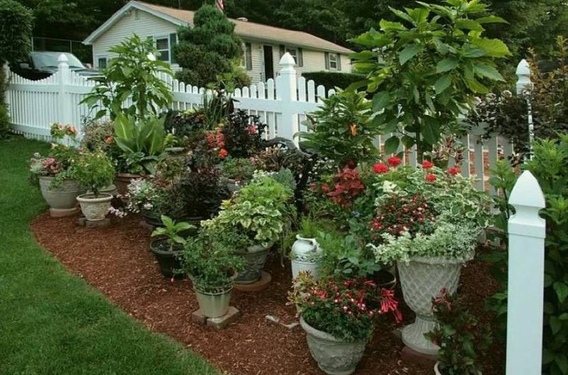 Фото из открытых источников