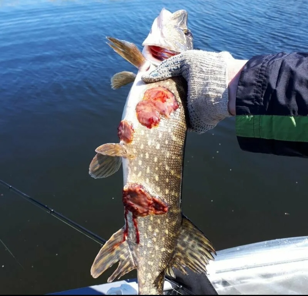 УБЕЙТЕ МЕНЯ!!!