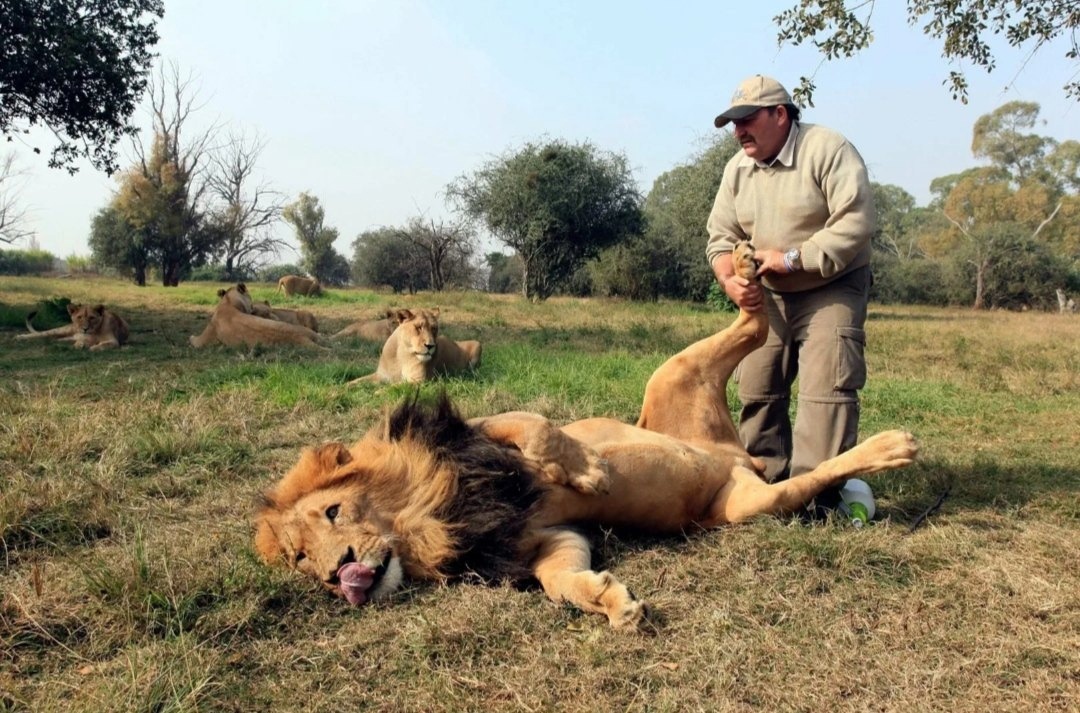 Фото из интернета. Хороший массаж и зверю приятен.