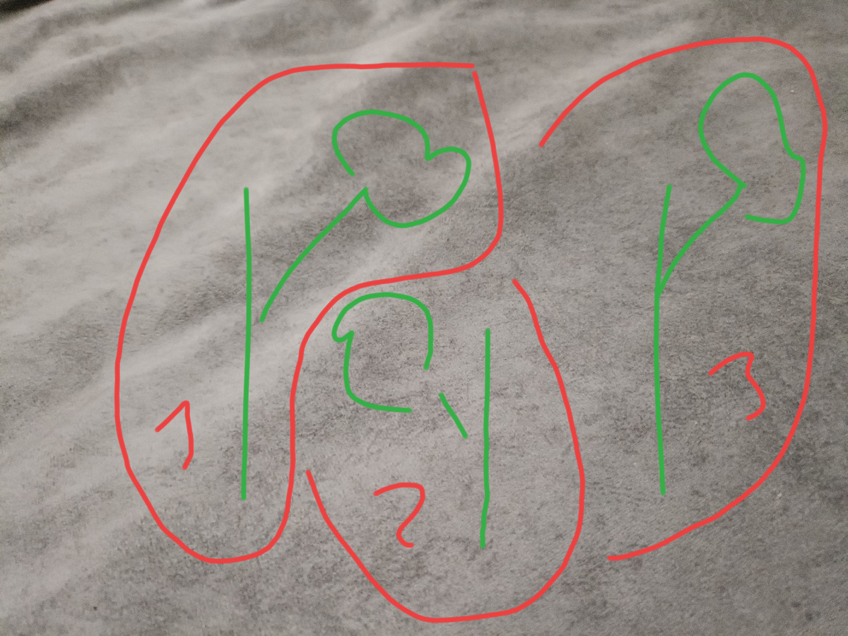 Мне казалось, 3 черенка пеларгонии выглядят как-то так