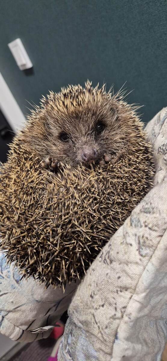 Фото Ивана Андреева