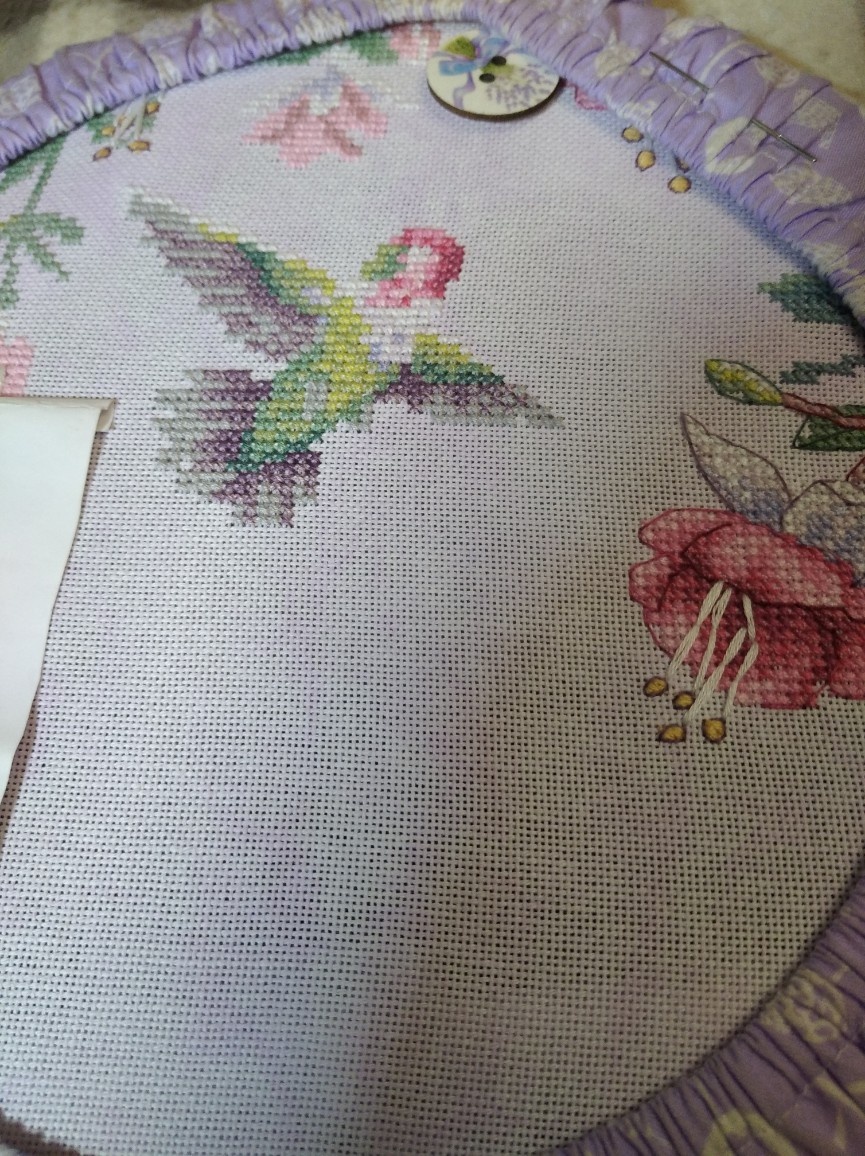 а так выглядел колибри без бэка