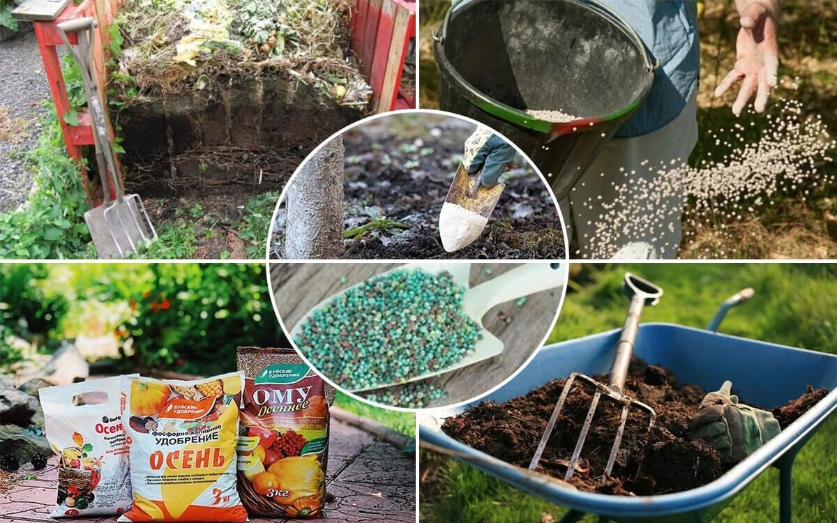 Эко подкормки