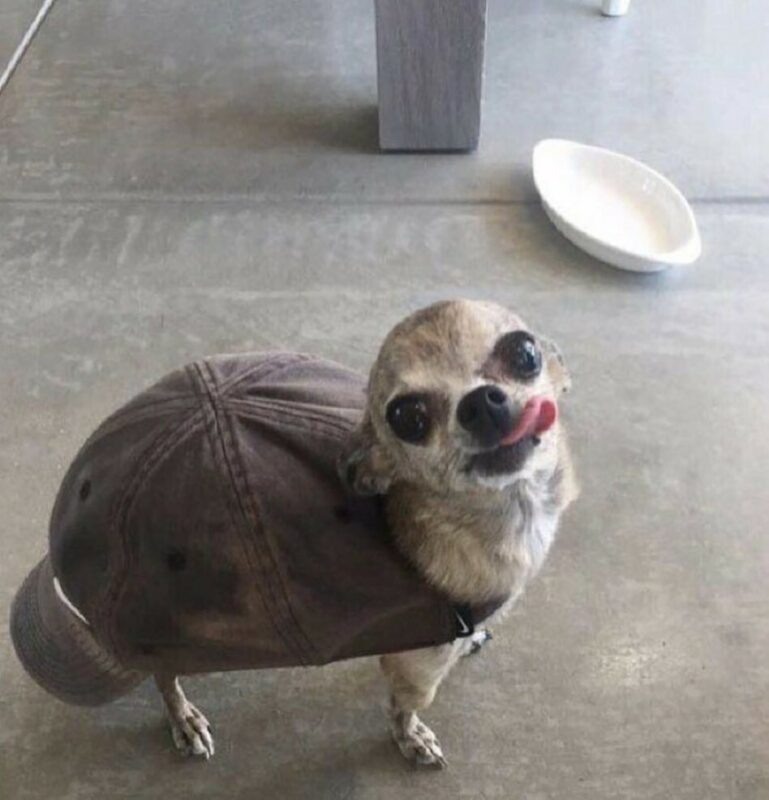 -9