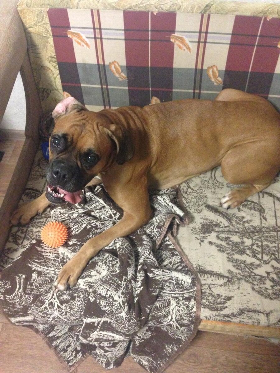 Джемка. На том самом диване). Фото из семейного архива.