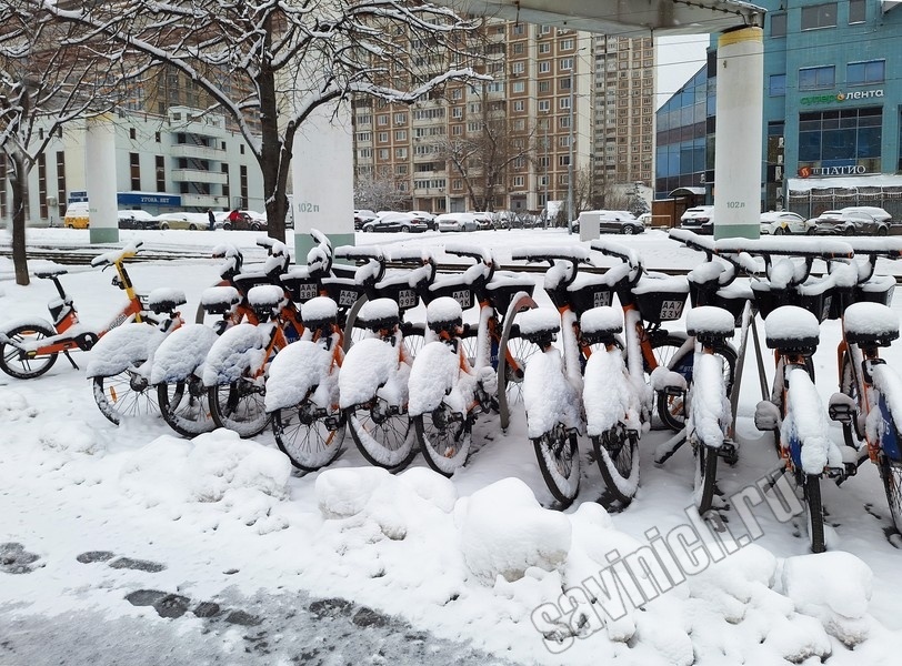 9 апреля 2025. Снегопад в Москве. Фото Галины Савинич