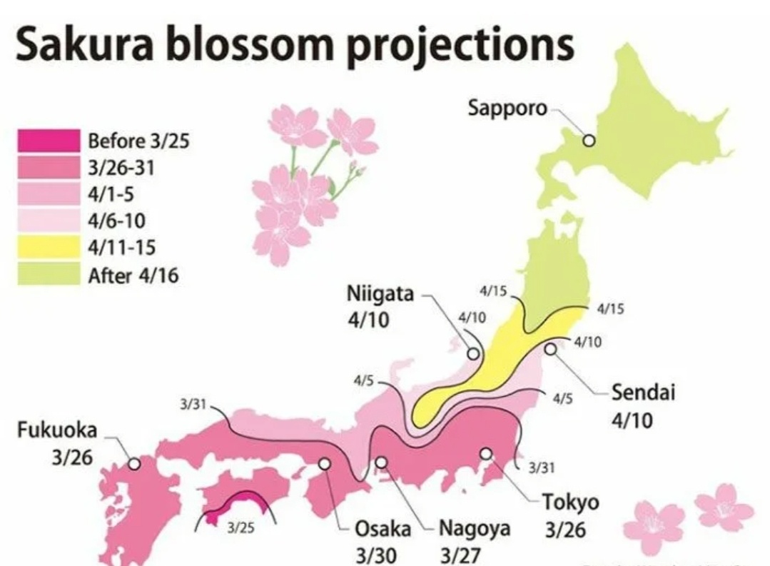 Фото из открытого источника интернета.