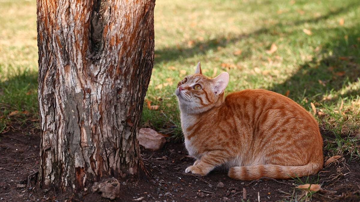    Фото: Ярослав Чингаев / АГН Москва