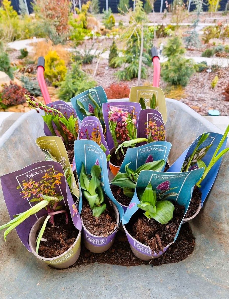 Целая тачка сокровищ! 