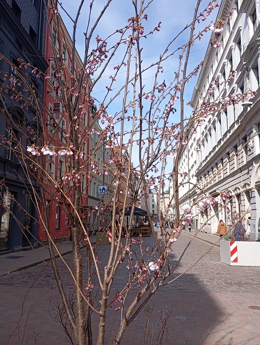 Рига, 12 апреля 2025