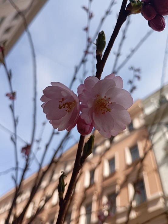 Рига, 12 апреля 2025