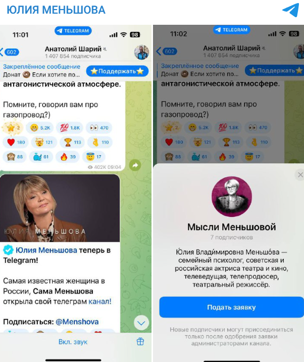    Скриншот:Telegram/ЮЛИЯ МЕНЬШОВА