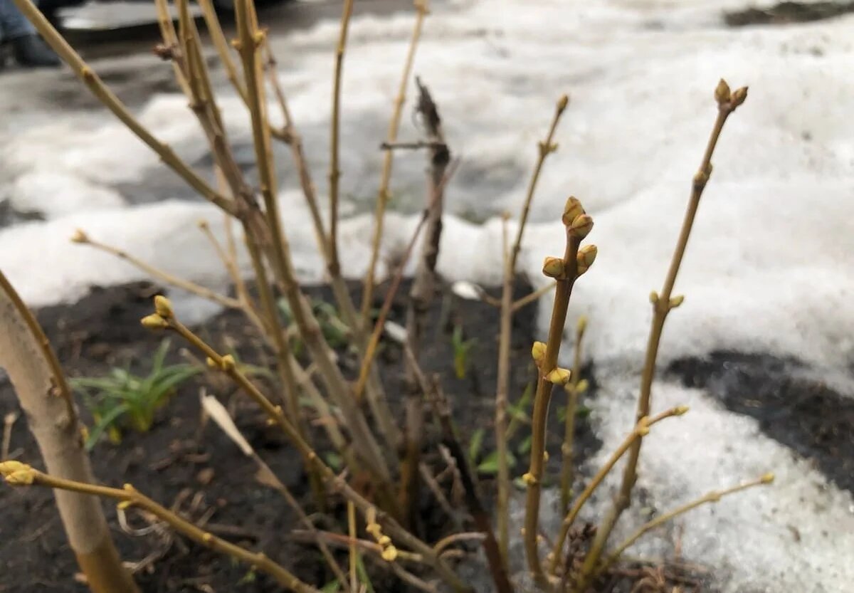 Фото: UfacityNews.ru