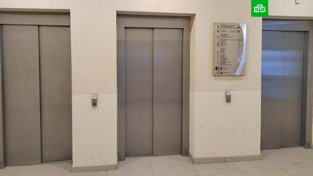    Фото: moscowproc / t.me