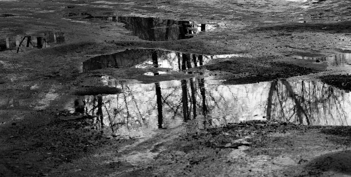 Все фото авторские 