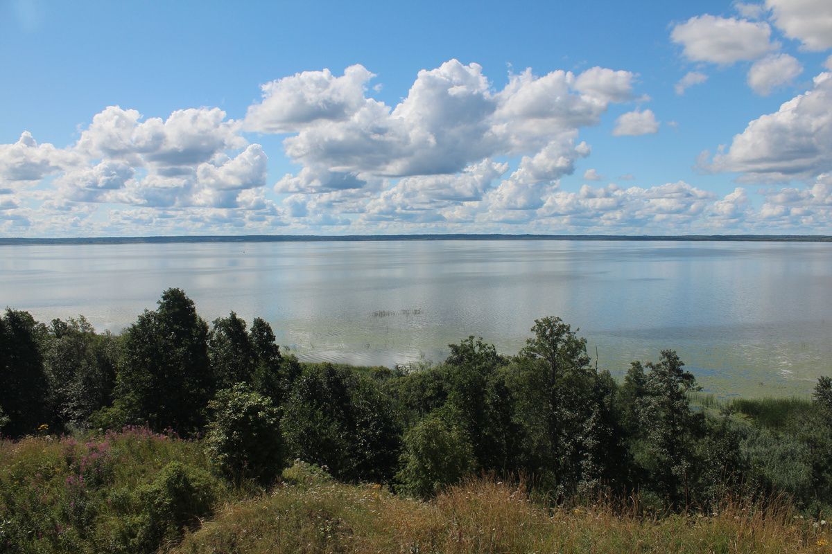 Северный берег Чухломского озера