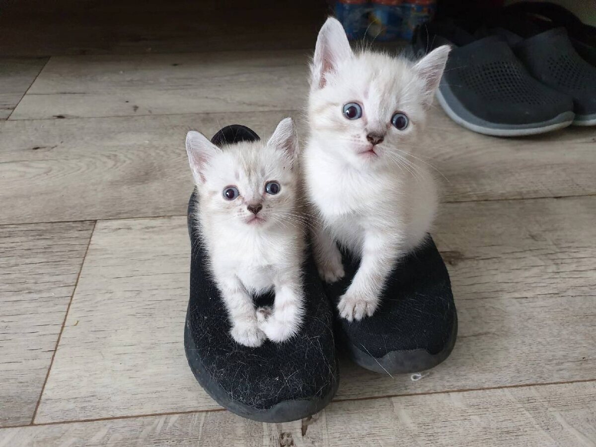 Фото из архива автора