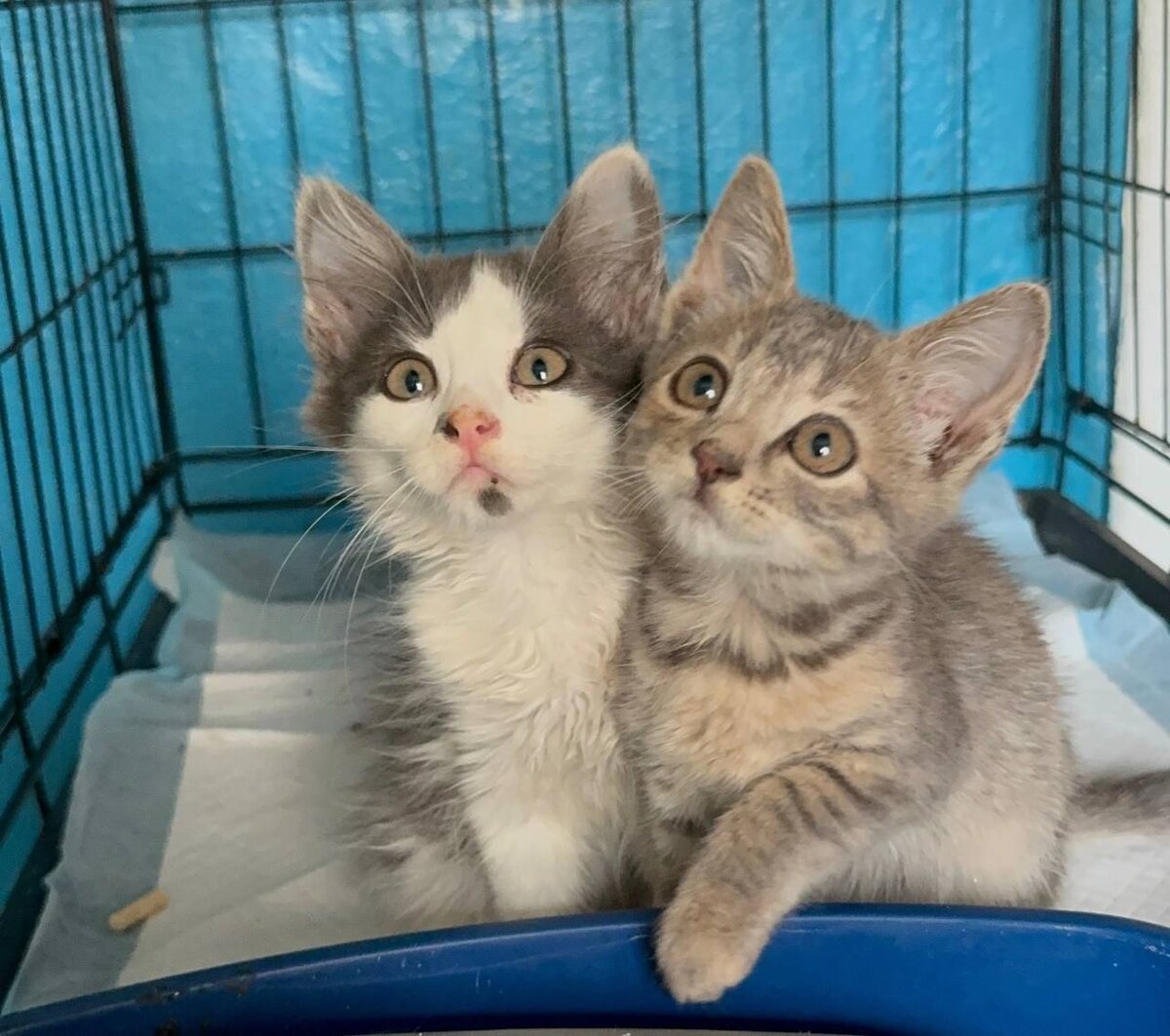 Фото из архива автора