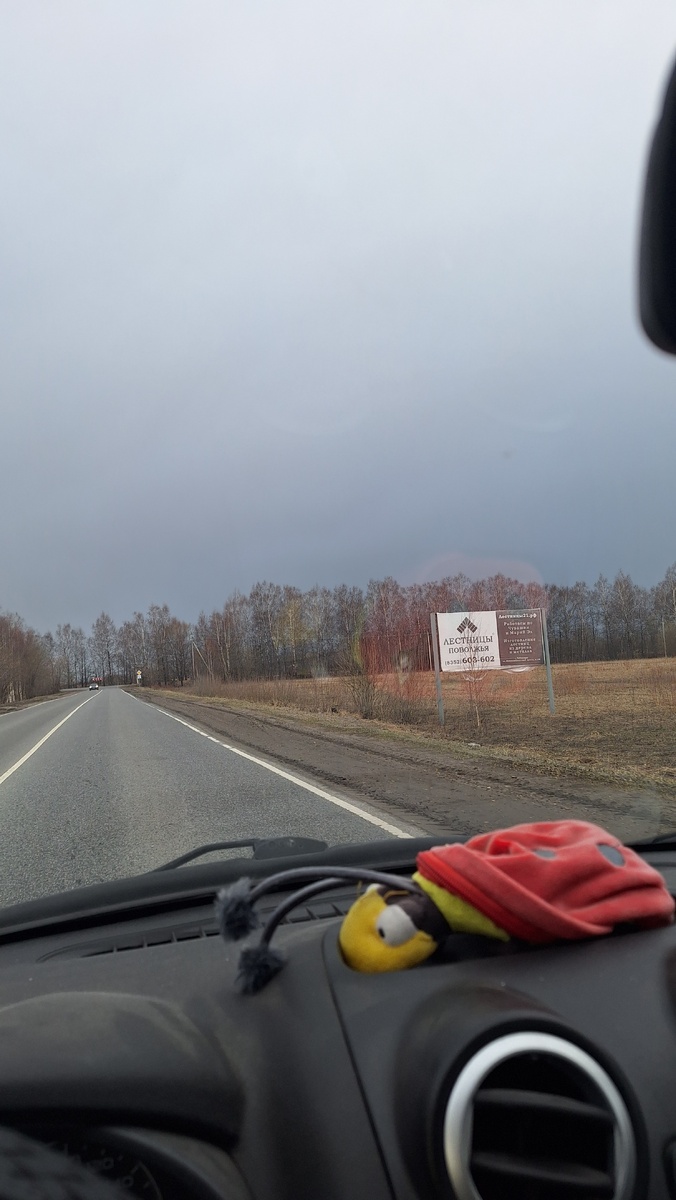 Фото автора. Еду на работу, а туча готовит что-то нехорошее. Ага, первый заряд снега запустила.