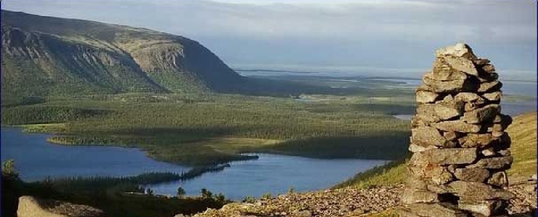 Фото взято из открытого источника Pinterest.com используется в иллюстративных целях.