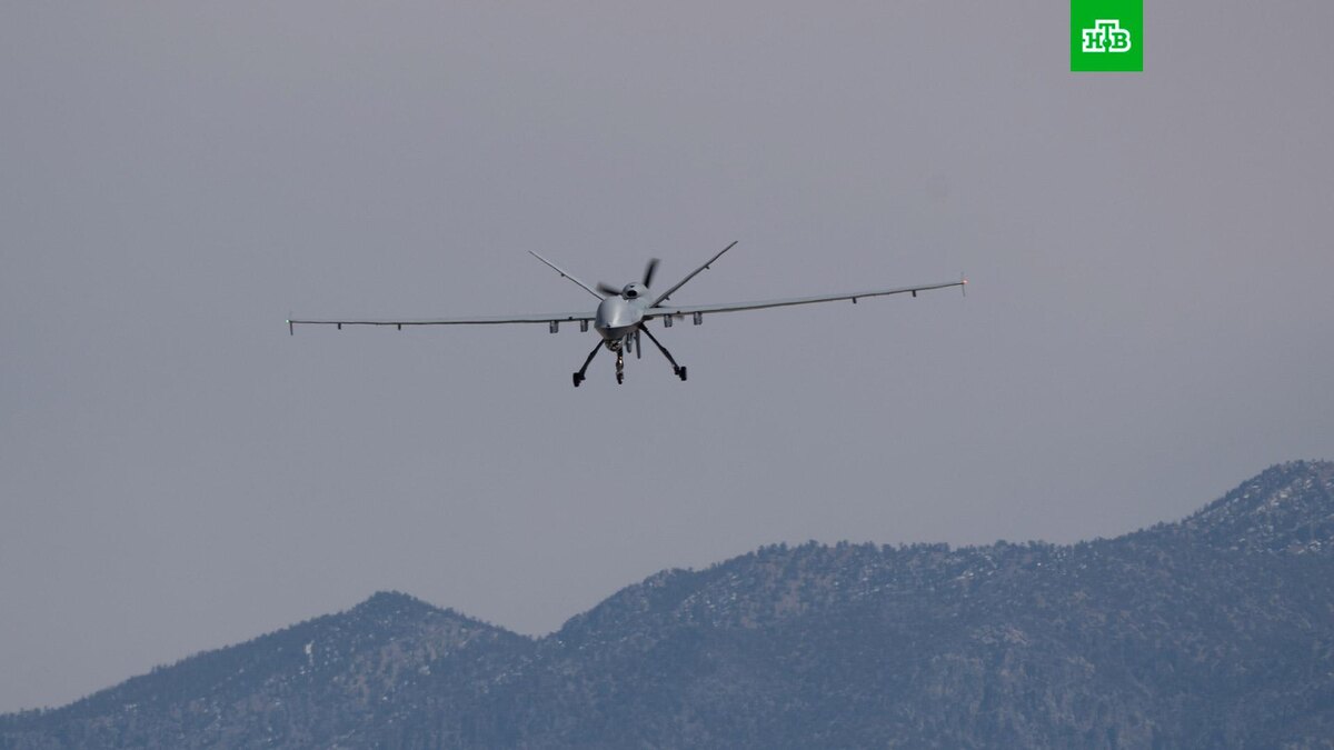    Фото: Clark Nieddu