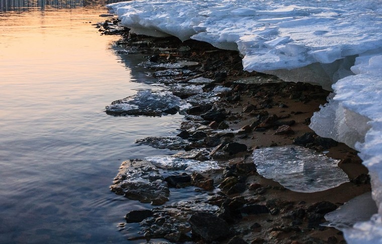    Shutterstock/FOTODOM