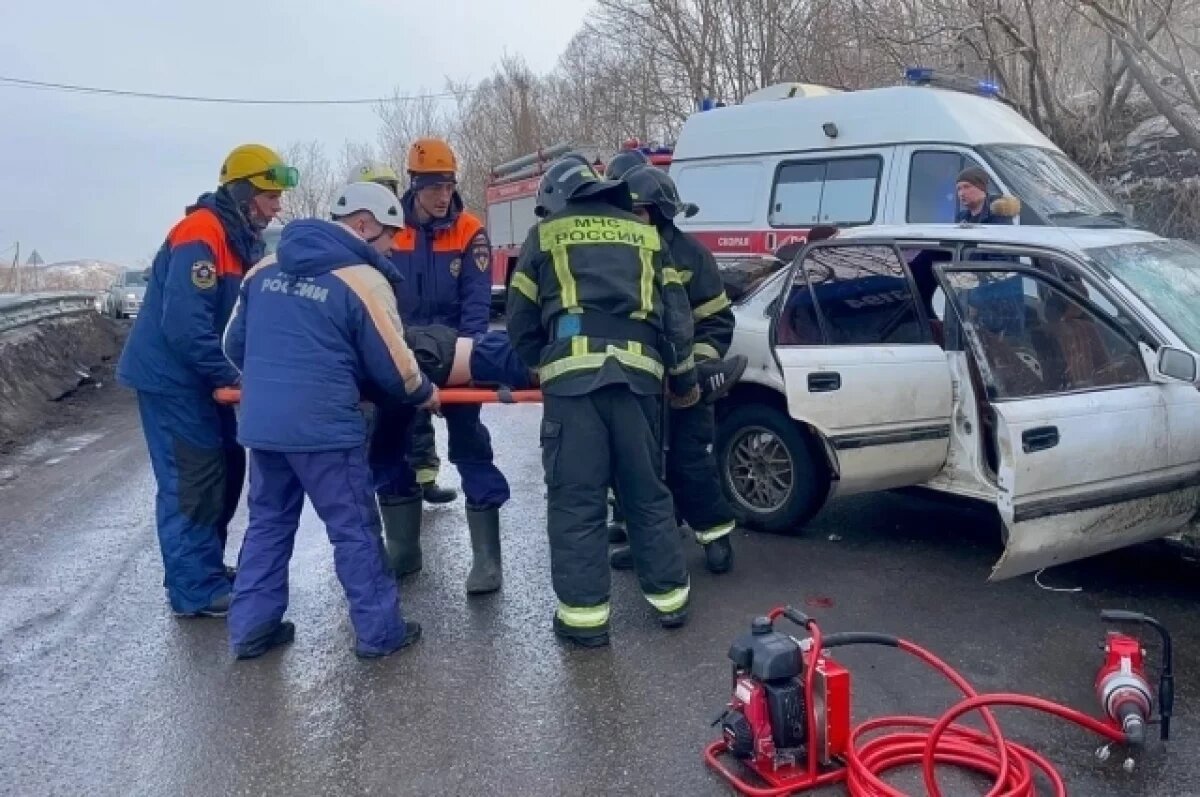    На Камчатке в ДТП с рейсовым автобусом и иномаркой пострадали два человека
