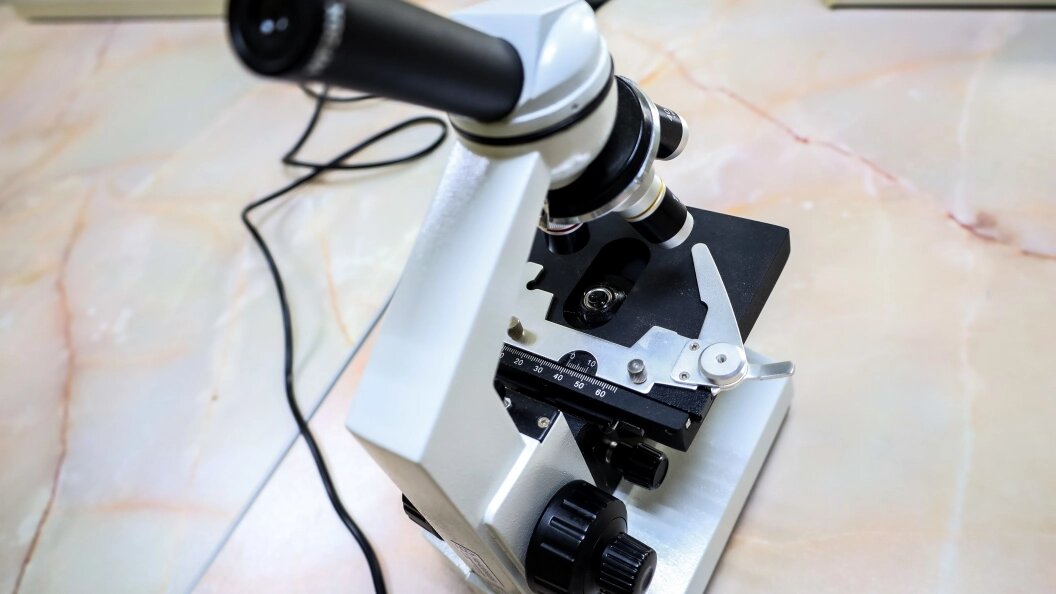    Elena Mayorova/Globallookpress