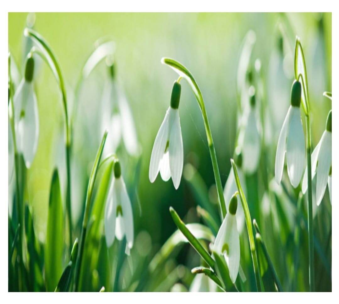 Фото из открытого источника интернета.