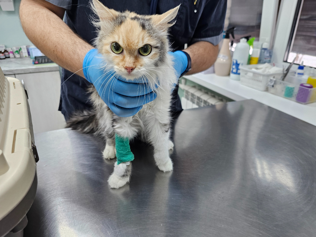 Фото автора. У врача.