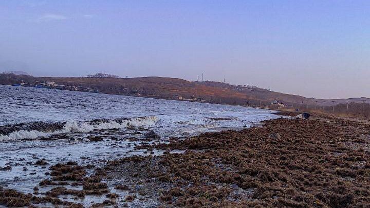     Источник: svodka25