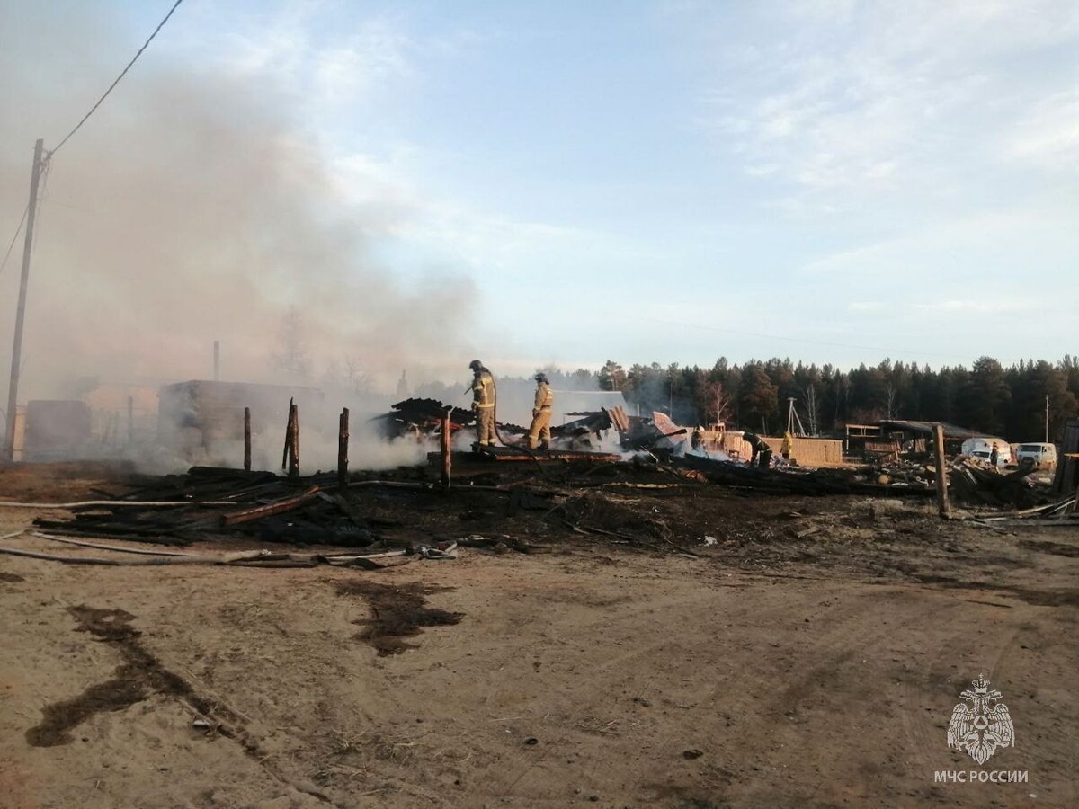    Фото: Пресс-служба ГУ МЧС России по Забайкальскому краю