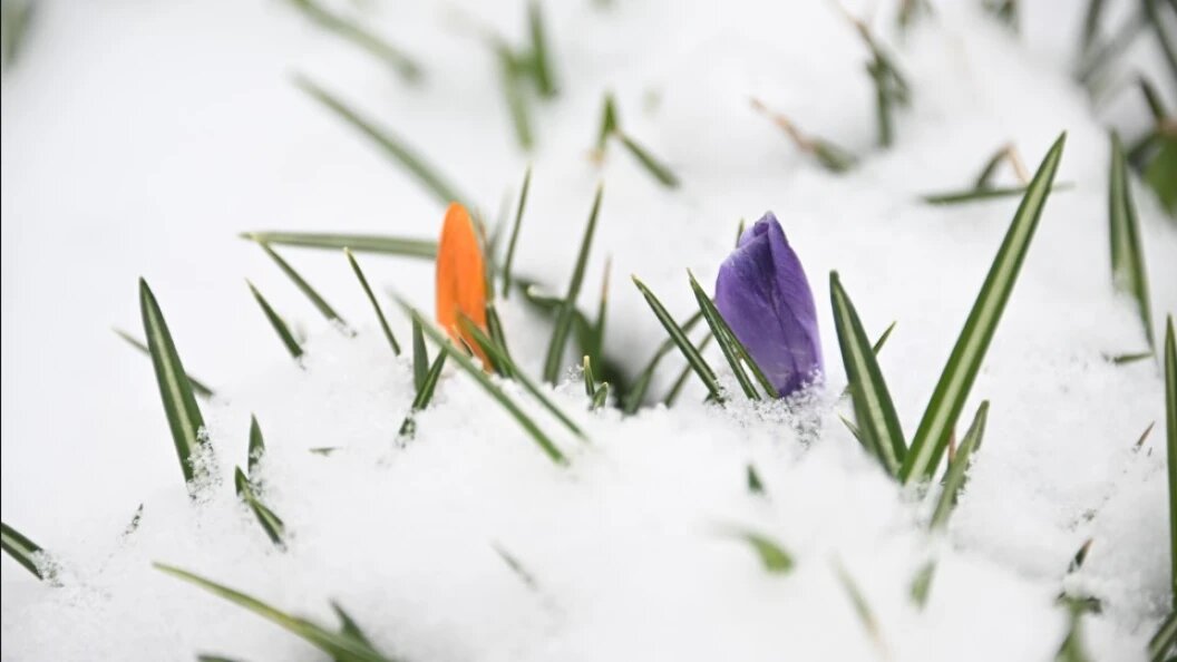    Komsomolskaya Pravda/Globallookpress