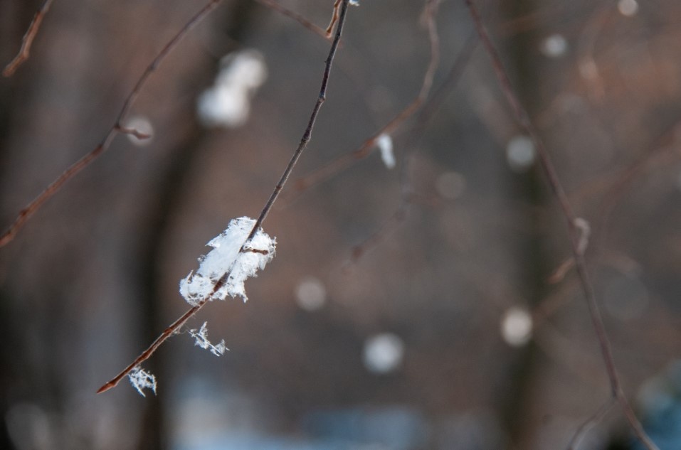    Фото: Svetlana Vozmilova/Globallookpress