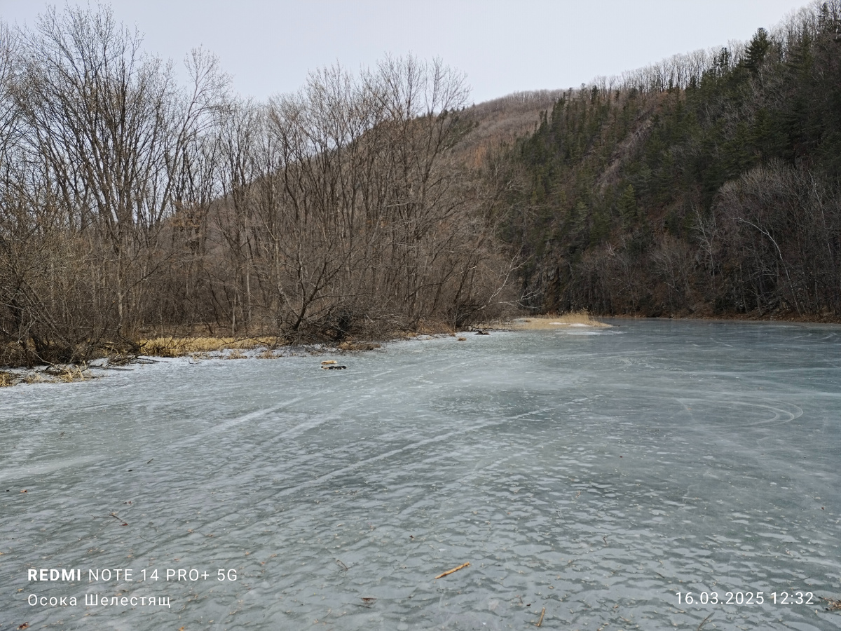 Таежное озеро. Заповедник имени Капланова. Лазовский район. Приморье.
