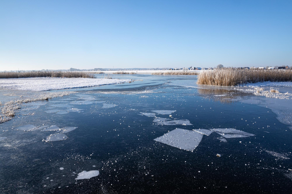 @EyeEm / freepik.com