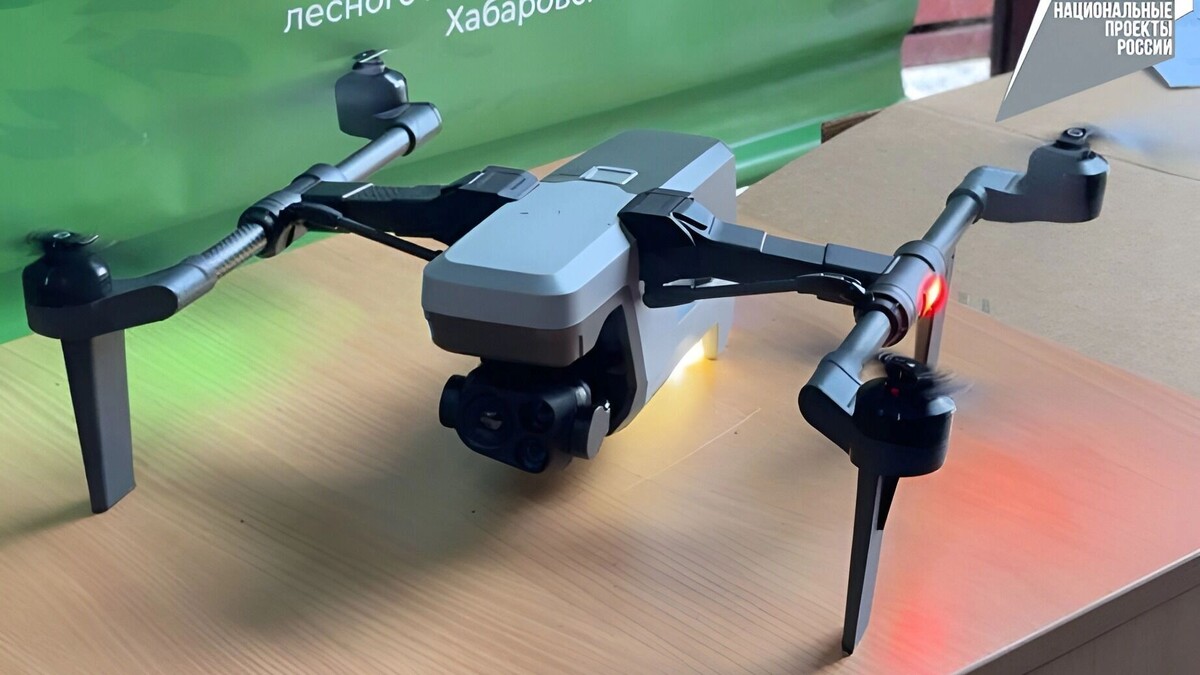     Источник: Пресс-служба министерства лесного хозяйства и лесопереработки края