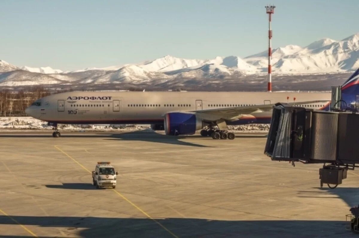    Три рейса из главного аэропорта Камчатки перенесли на 15 апреля