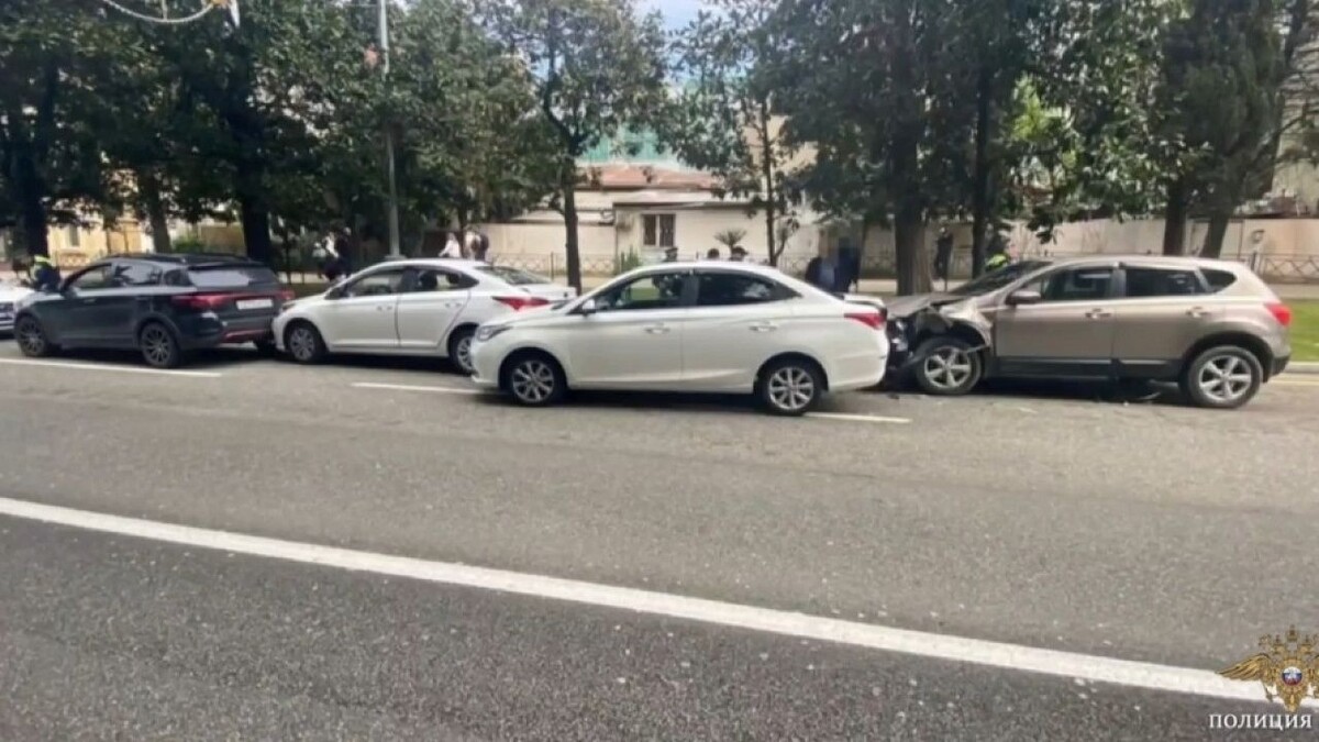    Фото: пресс-служба УМВД России по Сочи