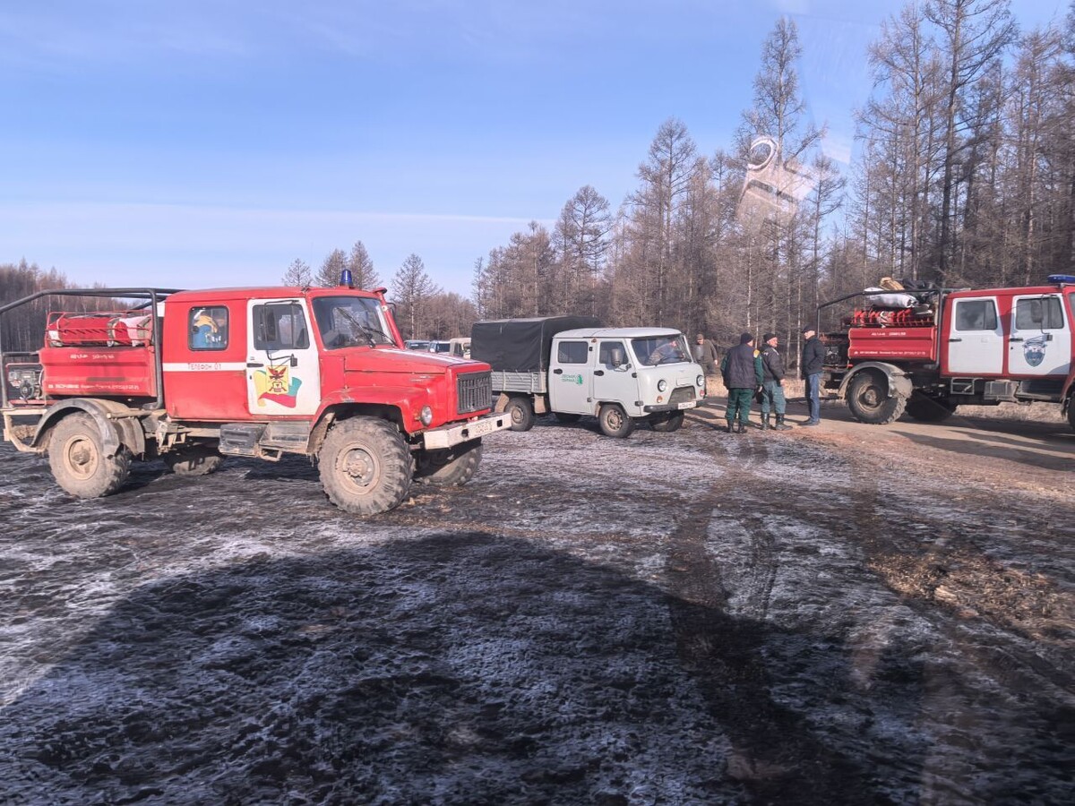    Фото: Пресс-служба Минприроды Забайкалья