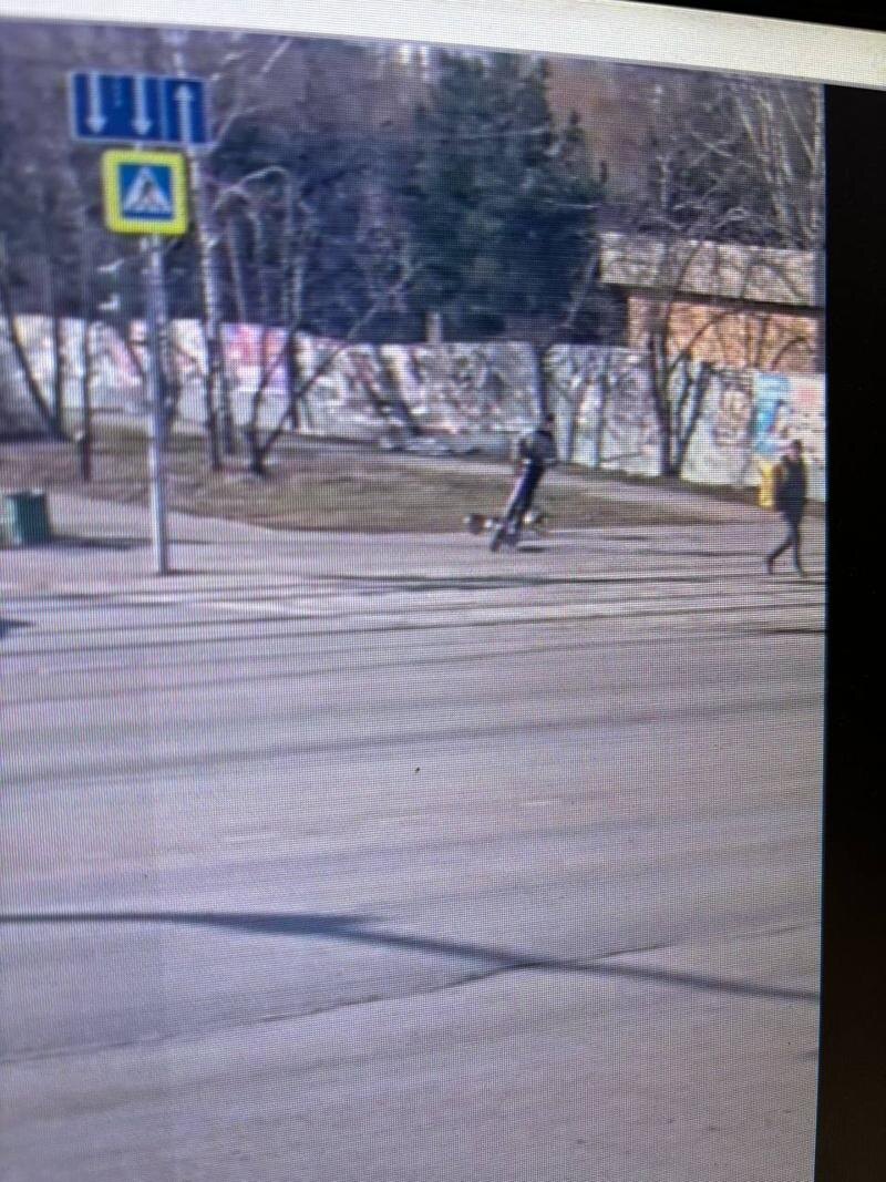    фото: telegram-канал ГАИ Екатеринбурга