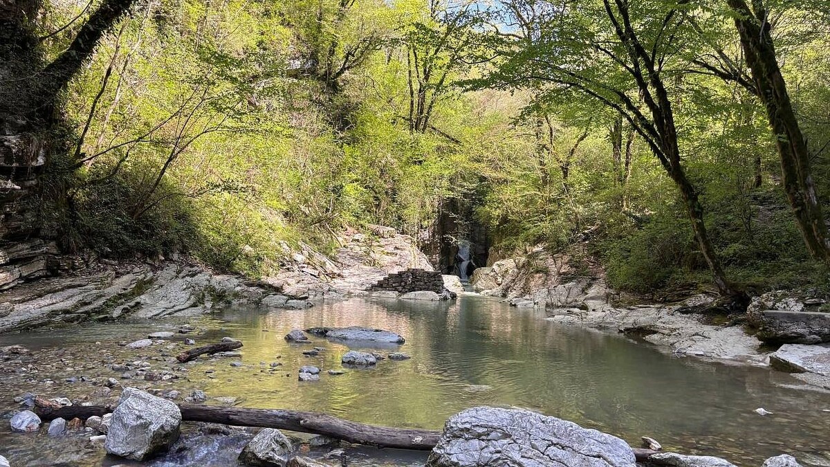    Фото: телеканал «Краснодар»