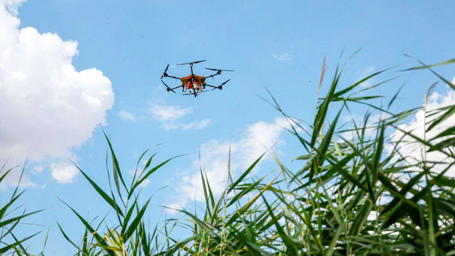 1. Крупный агродрон в воздухе. Может обрабатывать поля химикатами, а может сбрасывать боеприпасы...