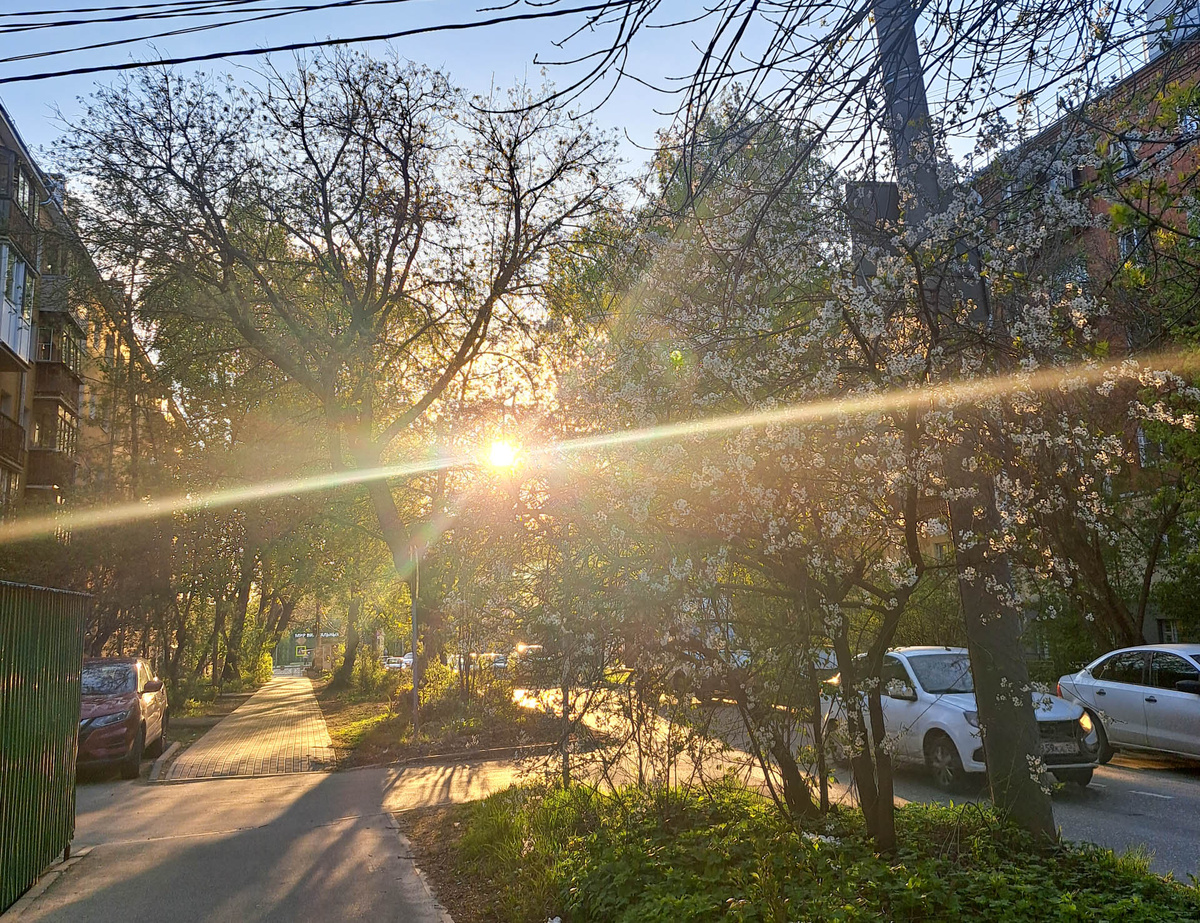 После похолодания придет солнце.  Фото: Фото: ФедералПресс / Вера Романескул